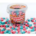 Fizzy Bubblegum Bottles GIANT Sweet Bucket